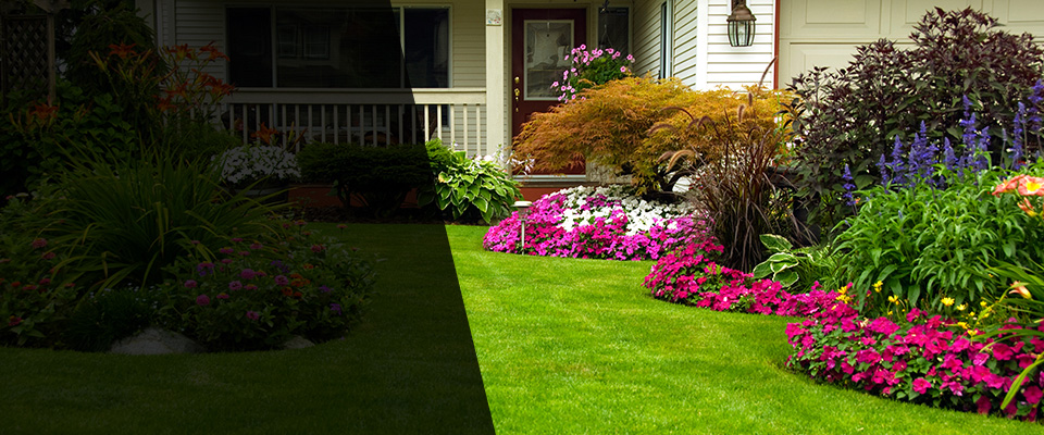 Cabool Landscapers