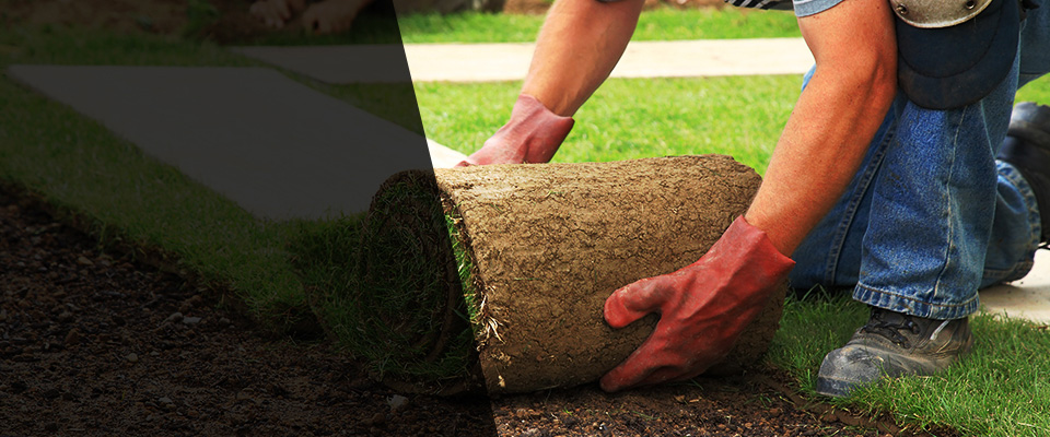 Cabool Landscapers
